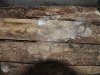 2008_04_05 033