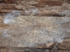 2008_04_05 042